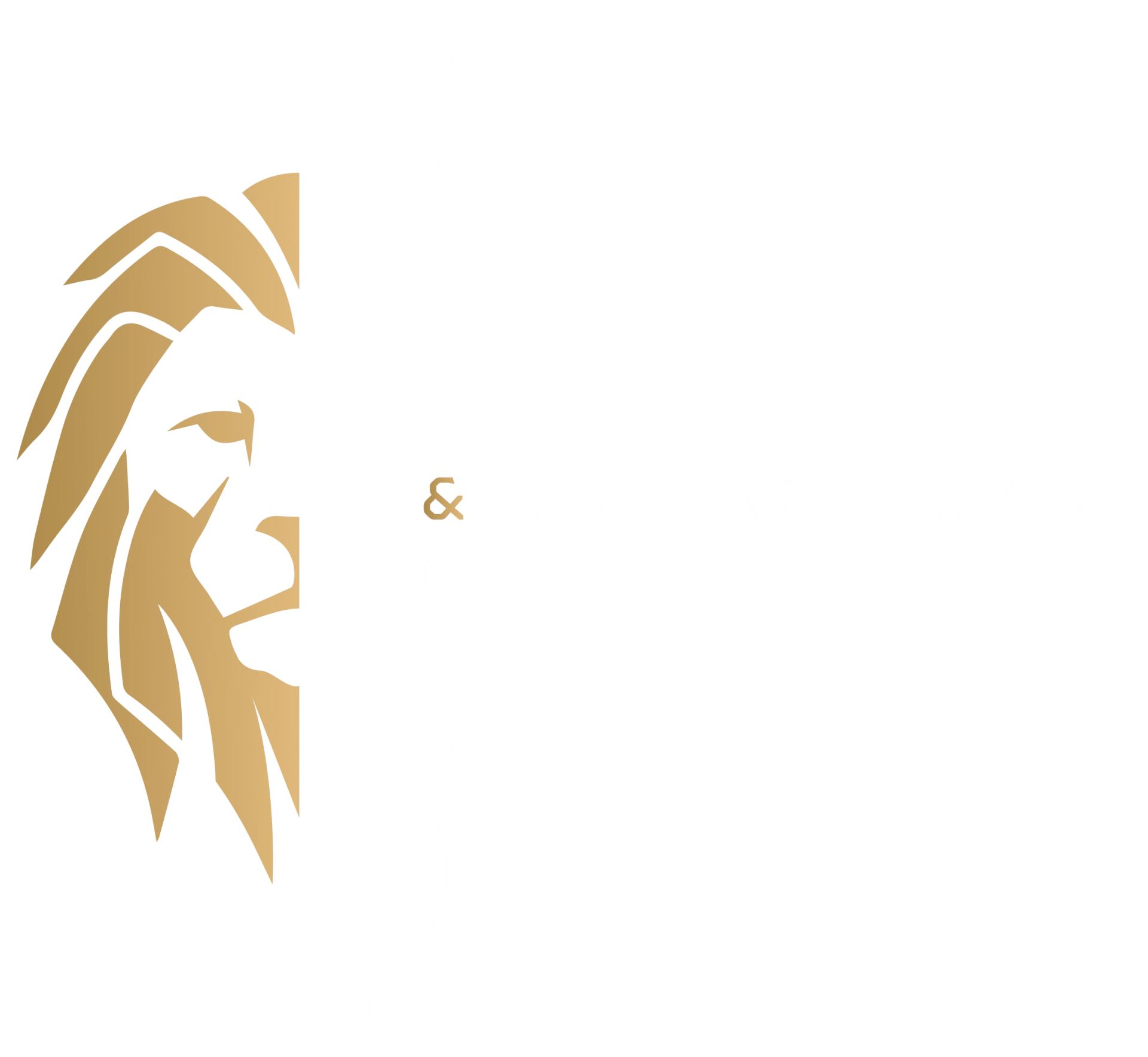 Brando & Oliveira Contabilidade.